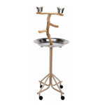 Bird Playstand - Dragonwood Perch with Stainless Tray