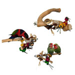 Java Wood Perches with Toys by A&E Cages