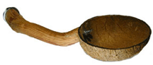 Coconut Cup Feeding Perch for Parrots by Polly's Pet Products