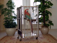 large parrot travel cage
