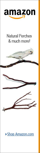 Natural Branch Bird Cage Perches