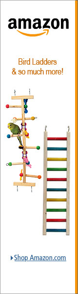 Wooden Bird Ladders
