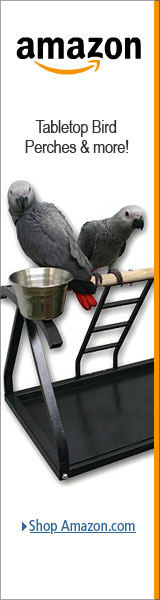 Metal Table Top Bird Stands for Parrots