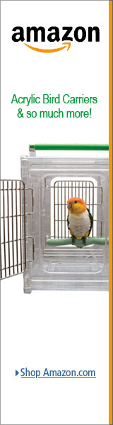 Acrylic Bird Carriers - Amazon