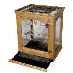 Oak Habitat with Acrylic panels by Acrylic Bird Cages