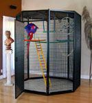 Indoor Aviary Cages - 6' Octogon by Cages by Design