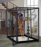 Indoor Parrot Aviaries - 11 X 8 Sectional Bird Cage by Cages by Design 