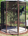 6' Diameter Garden Bird Aviary Cage by Cages by Design
