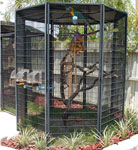 Outside Bird Aviaries - LG Diameter Octagon by Cages-by-Design 