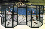 Twin 6' Bird Aviaries with Safety Catch by Cages by Design