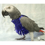 Maxi Vest for Parrots by Jungle Wear