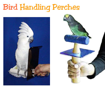 Bird Handling Perch