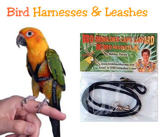 Parrot Harness