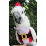 Santa Costume for Parrots