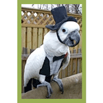 Tuxedo for Parrot