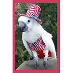 American Flag Costume for Parrots
