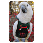 Christmas Plaid Hoodie for Birds