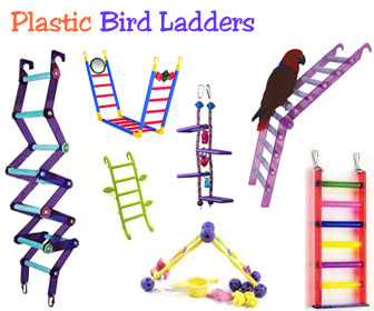 Plastic Parakeet Ladder - Acrylic Parrot Ladders