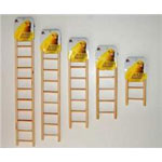 Birdie Basics Wooden Bird Ladders by Prevue Hendryx