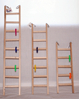 Wooden Bird Ladders with Toy Rings at KPets