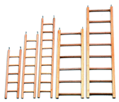 Wooden Cockatiel Ladders by Karlie
