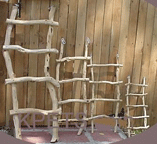 Sandblasted Manzanita Parrot Ladders by Perch On This