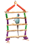 King Java Parrot Ladders for Birds by King's Cages
