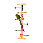 Forage-N-Play Bird Ladder by Super Pets