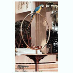 Brass and Copper Parrot Rings Bird Stands at Handcrafted Bird Cages