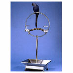 Stainless Steel Ring Stands for Parrots by Animal Environments