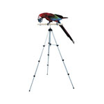 Tripod Perch Parrot Stand