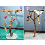 Manzanita Parrot Playstands by Exotic Wood Dreams