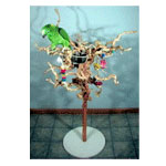 Manzanita & Grape Vine Bird Stands by Exotic Wood Dreams