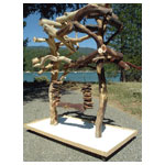 Giant Manzanita Play Stand for Parrots