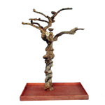 Carved Single Java Wood Tree Parrot Play Stand by A & E Cages