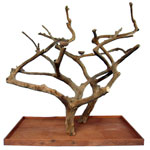 Double Java Wood Tree by A & E Cages