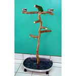 Busy Bird Creations Small Dragon Wood Bird Playgym 2104B Tambo Pet Products