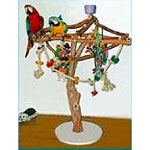 Play Arena Large Portable Play Gym for Parrots FL-1169by Exotic Wood Dreams