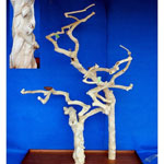 Carved Double Java Tree for Parrots by Kings Cages