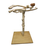 Islandwood Java Wood Tree Medium Play Stand for Parrots by Parrotopia