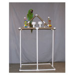 PVC Parrot Bird Stand by Parrot Treasures