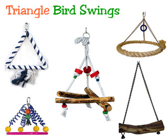 Large Bird Swings