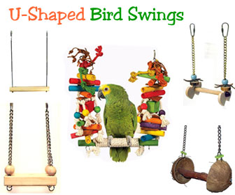 Parrot Swings