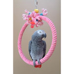 Ring Swings for Parrots by Oliver's Garden - Canada