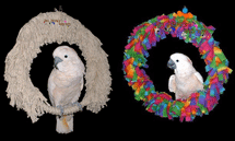 Cotton & Fleece Snuggle Ring Bird Swings by Big Beaks Bird Toys