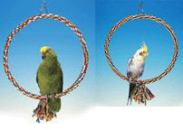Rope Circle Perch Bird Swings by Penn Plax BAR7 BAR9