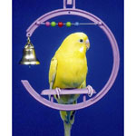 Parakeet Swing -  Penn Plax