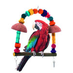 Bird's World Parrot  Macaw Swing by Karlie - Germany