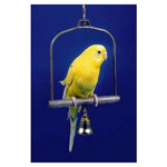 Plastic Small Bird Swing by Penn Plax