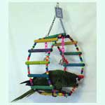 Fun Wheel Small to Medium Bird Swing Item# PV00030 by Pet Vision